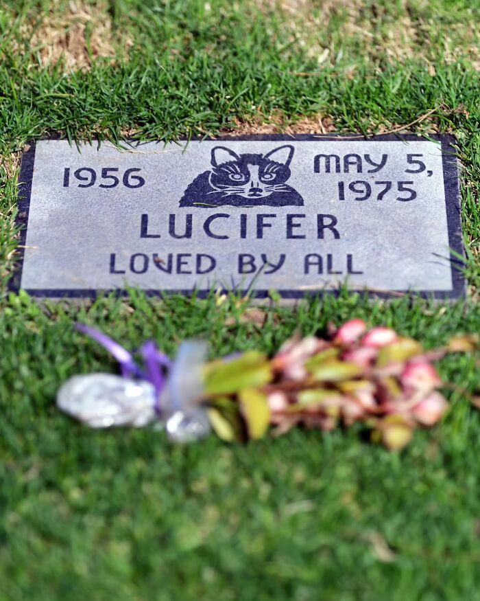 These Touching Pet Memorials Show How Deep The Bond Between Humans And Animals Truly Is (25 New Pics)