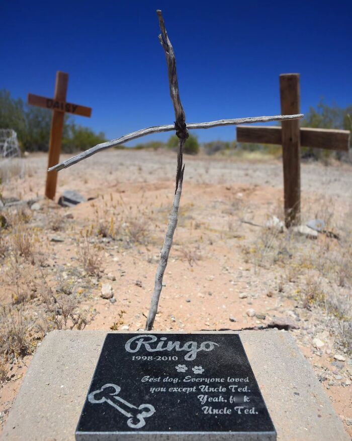 These Touching Pet Memorials Show How Deep The Bond Between Humans And Animals Truly Is (25 New Pics)