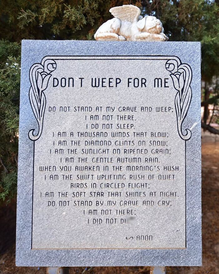 These Touching Pet Memorials Show How Deep The Bond Between Humans And Animals Truly Is (25 New Pics)