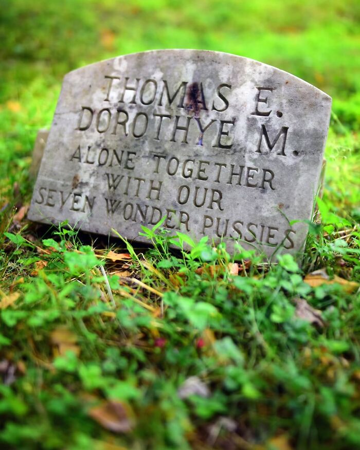 These Touching Pet Memorials Show How Deep The Bond Between Humans And Animals Truly Is (25 New Pics)