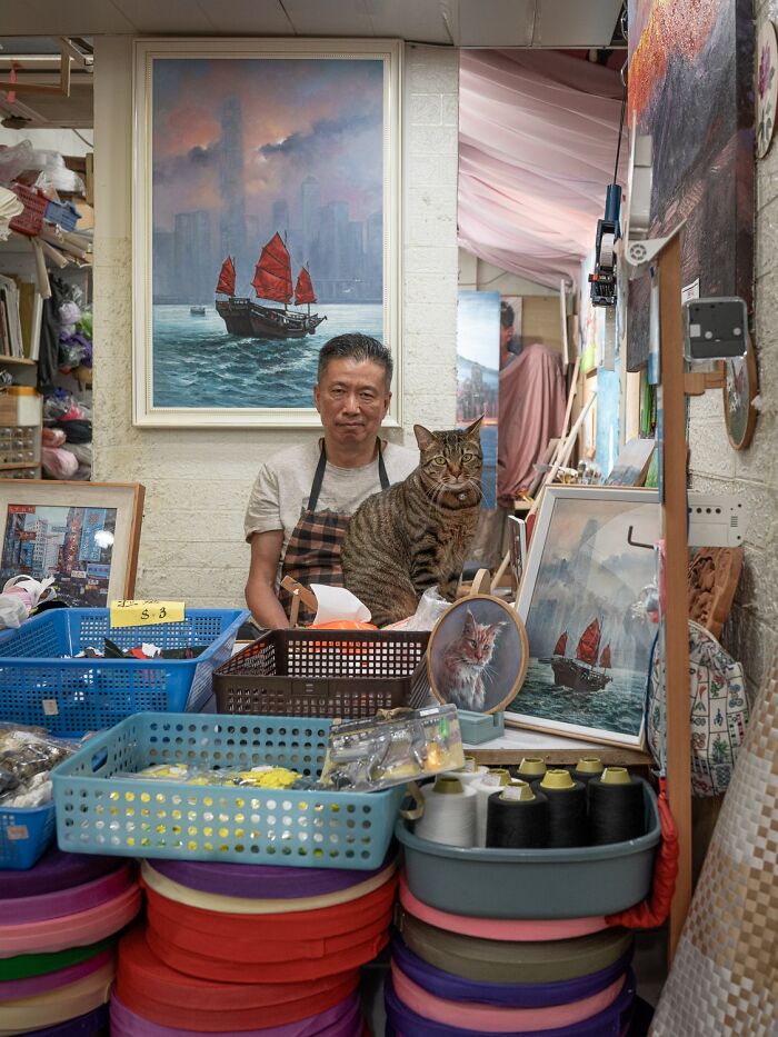 Street Cats Around The World Blend Perfectly Into City Life In Marcel Heijnen’s Photos (41 New Pics)