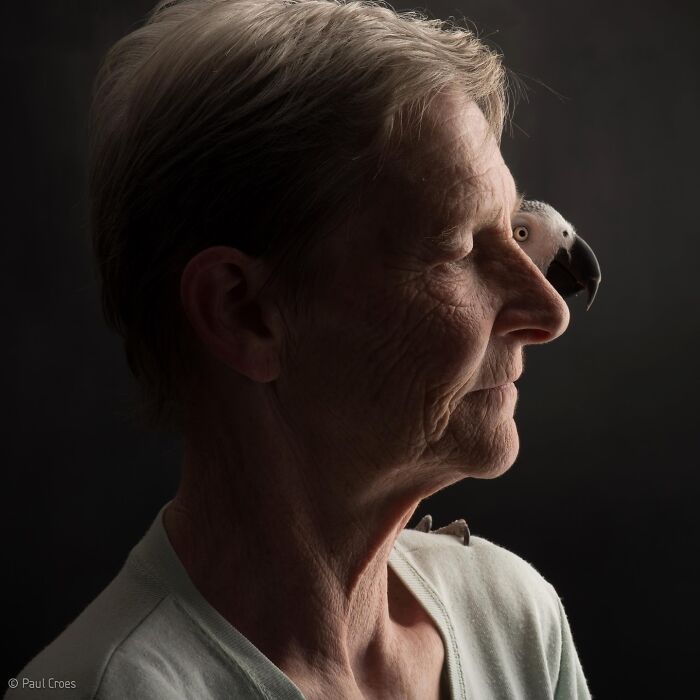 These Studio Portraits Capture The Deep, Silent Bond Between Dogs And Their Humans (30 Pics)