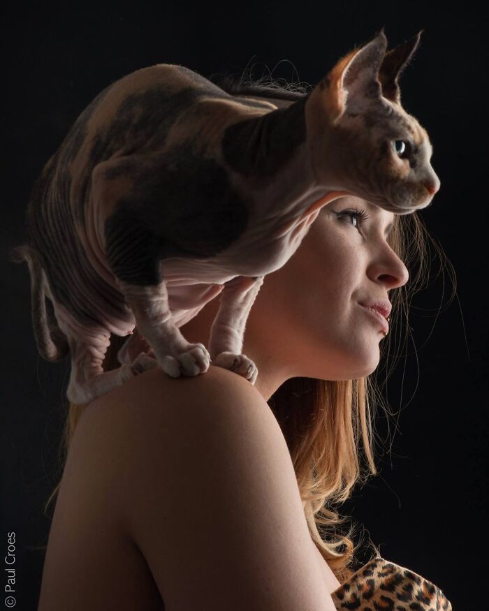 These Studio Portraits Capture The Deep, Silent Bond Between Dogs And Their Humans (30 Pics)