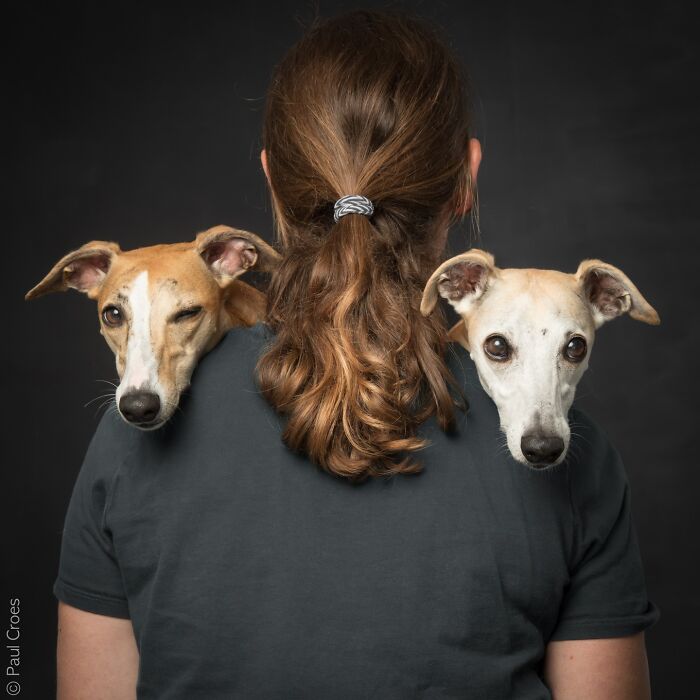 These Studio Portraits Capture The Deep, Silent Bond Between Dogs And Their Humans (30 Pics)