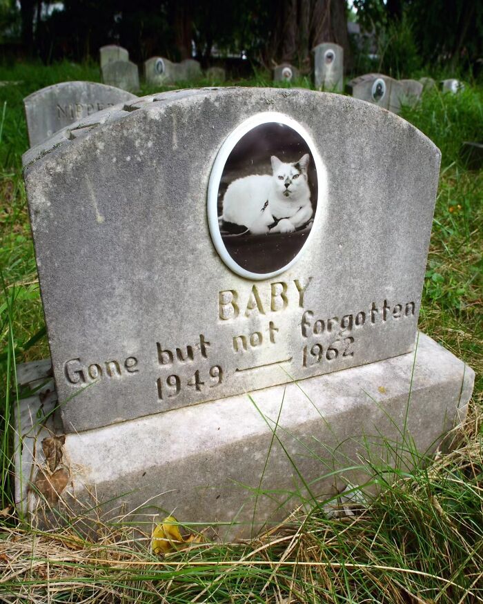 These Touching Pet Memorials Show How Deep The Bond Between Humans And Animals Truly Is (25 New Pics)