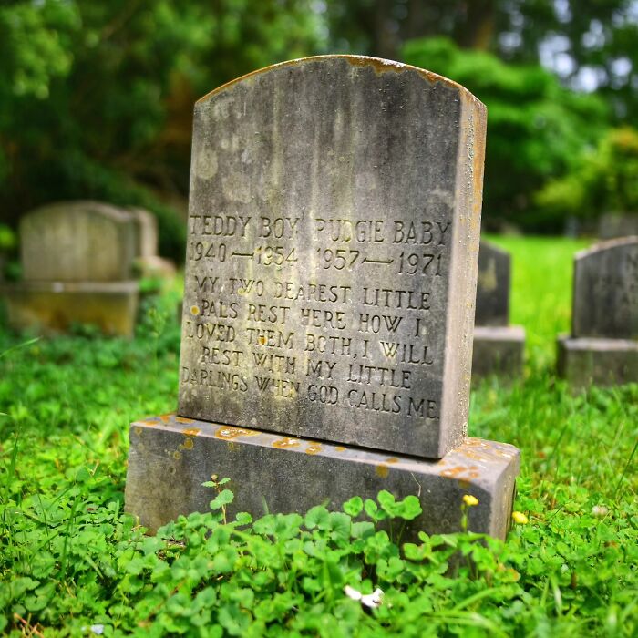 These Touching Pet Memorials Show How Deep The Bond Between Humans And Animals Truly Is (25 New Pics)