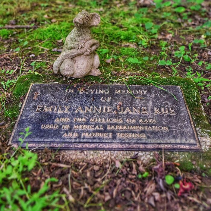 These Touching Pet Memorials Show How Deep The Bond Between Humans And Animals Truly Is (25 New Pics)