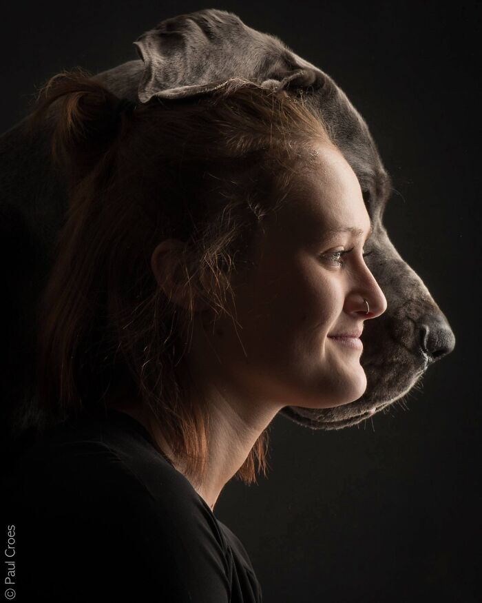 These Studio Portraits Capture The Deep, Silent Bond Between Dogs And Their Humans (30 Pics)