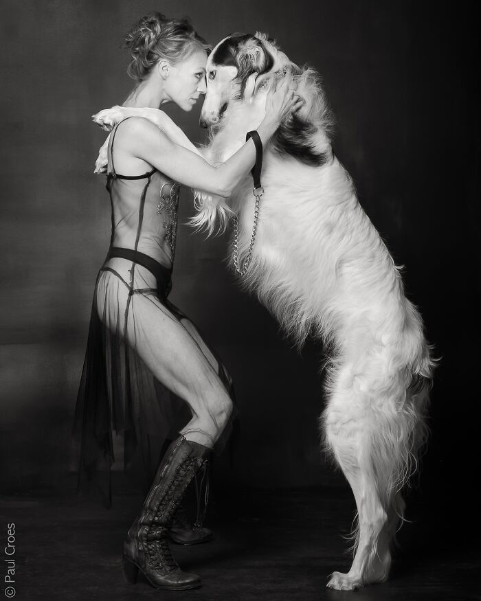 These Studio Portraits Capture The Deep, Silent Bond Between Dogs And Their Humans (30 Pics)