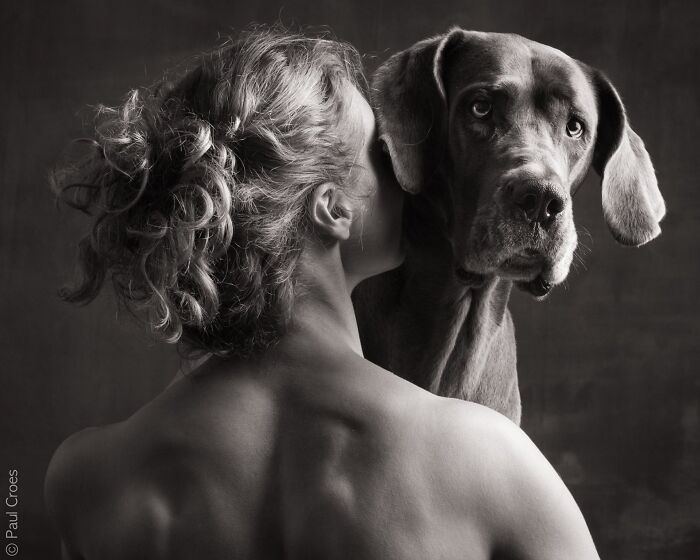 These Studio Portraits Capture The Deep, Silent Bond Between Dogs And Their Humans (30 Pics)