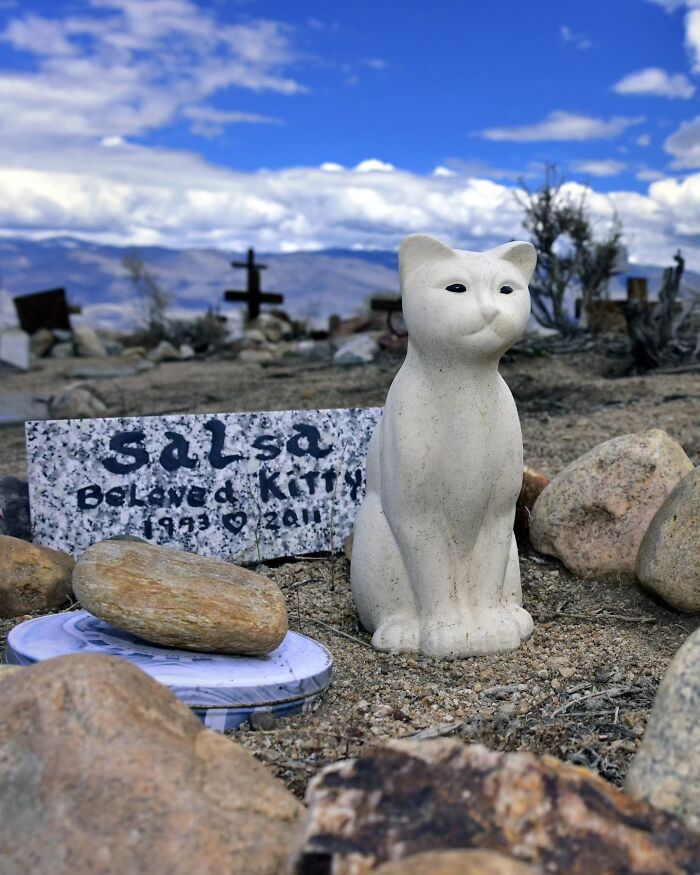 These Touching Pet Memorials Show How Deep The Bond Between Humans And Animals Truly Is (25 New Pics)
