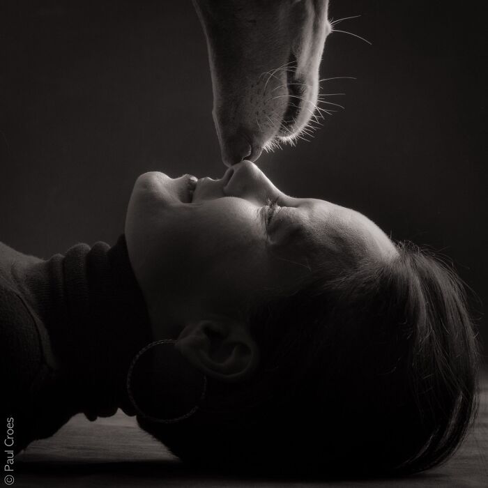 These Studio Portraits Capture The Deep, Silent Bond Between Dogs And Their Humans (30 Pics)