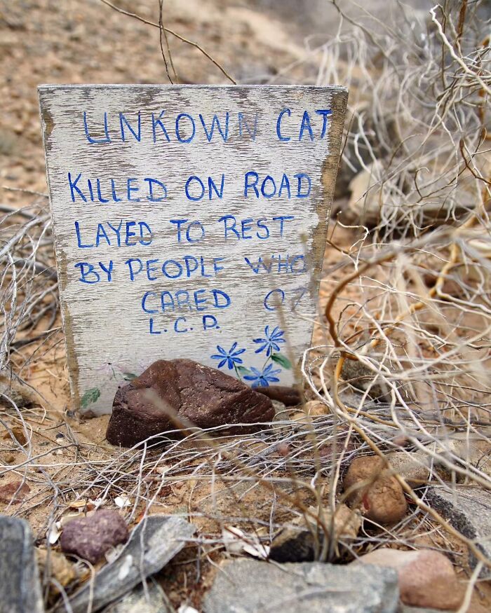 These Touching Pet Memorials Show How Deep The Bond Between Humans And Animals Truly Is (25 New Pics)