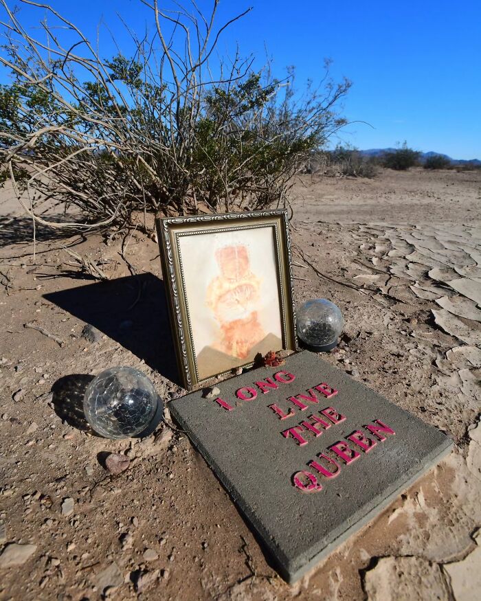 These Touching Pet Memorials Show How Deep The Bond Between Humans And Animals Truly Is (25 New Pics)