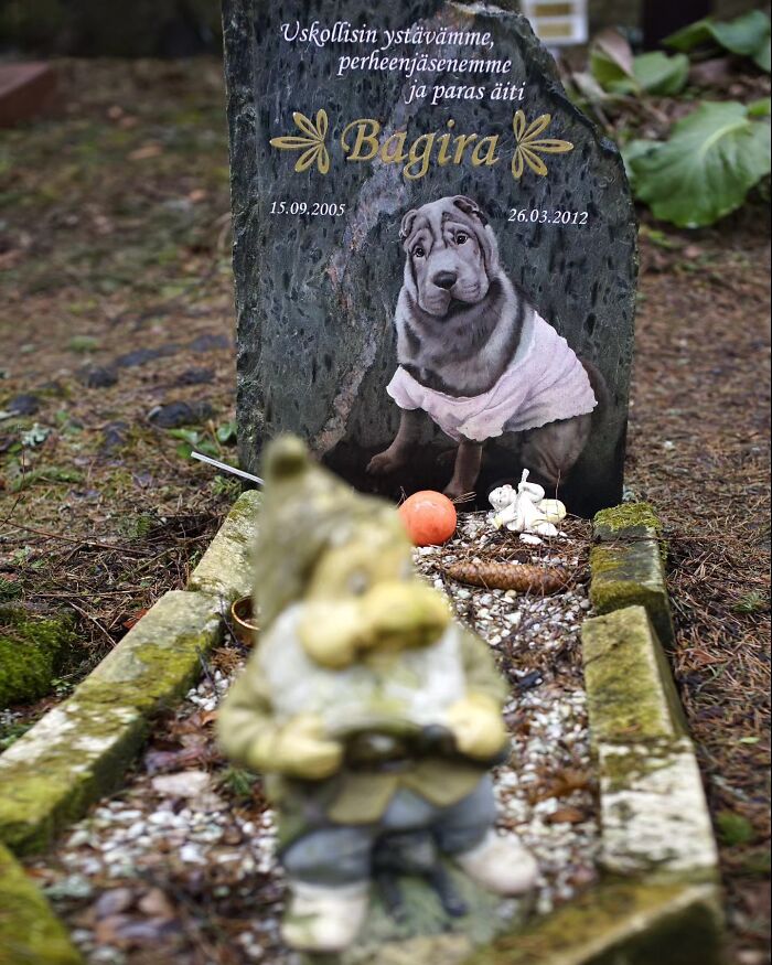 These Touching Pet Memorials Show How Deep The Bond Between Humans And Animals Truly Is (25 New Pics)