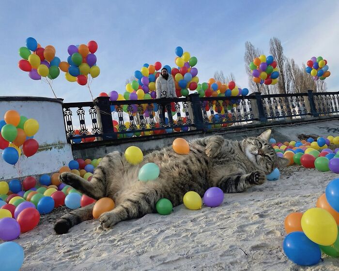 This Artist Keeps Turning Everyday Life Into A World Of Giant Cats, And The Results Are Both Surreal And Hilarious (26 New Pics)