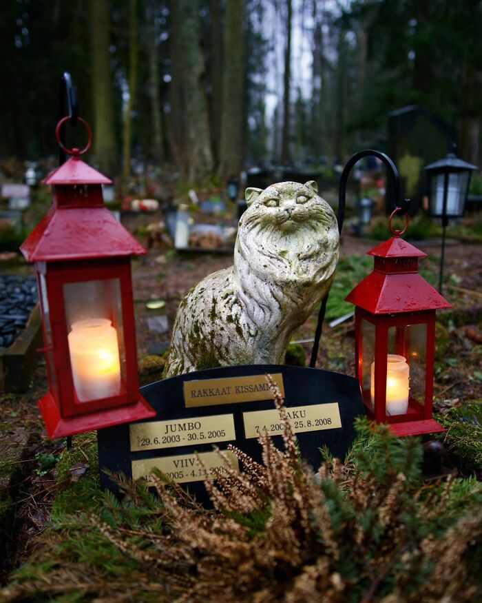 These Touching Pet Memorials Show How Deep The Bond Between Humans And Animals Truly Is (25 New Pics)