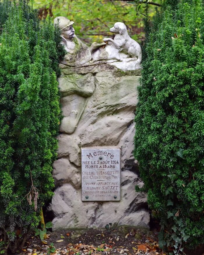 These Touching Pet Memorials Show How Deep The Bond Between Humans And Animals Truly Is (25 New Pics)