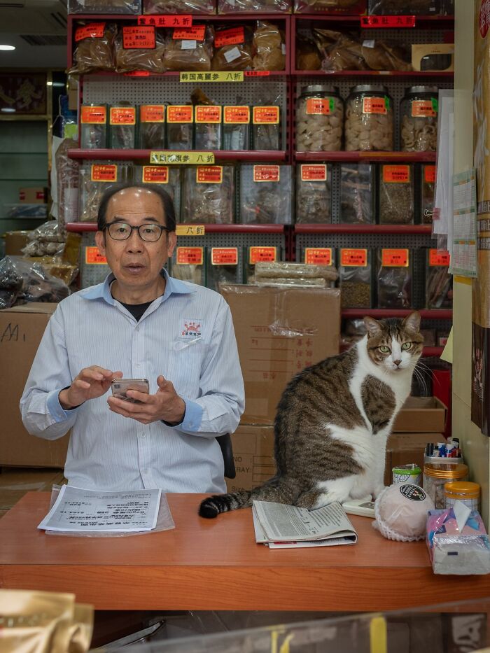 Street Cats Around The World Blend Perfectly Into City Life In Marcel Heijnen’s Photos (41 New Pics)