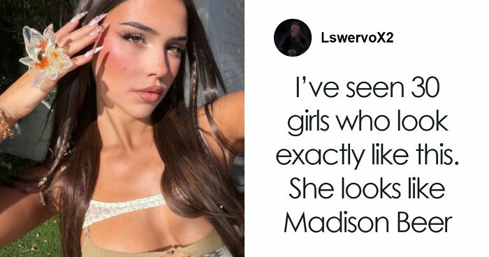 33 Of The Most Hilarious And Cute ‘Important Animal Images’ To Brighten Your Day (New Pics)