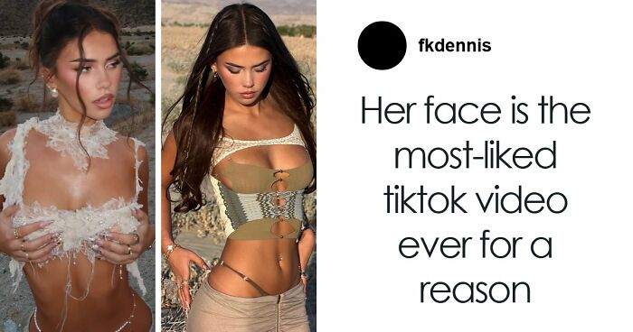 33 Of The Most Hilarious And Cute ‘Important Animal Images’ To Brighten Your Day (New Pics)