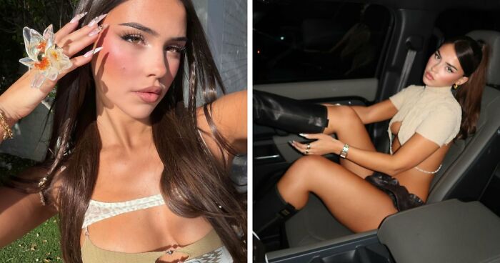 33 Of The Most Hilarious And Cute ‘Important Animal Images’ To Brighten Your Day (New Pics)