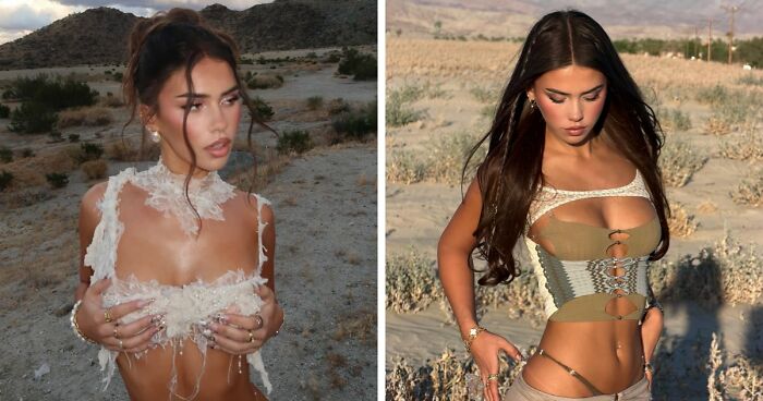 33 Of The Most Hilarious And Cute ‘Important Animal Images’ To Brighten Your Day (New Pics)