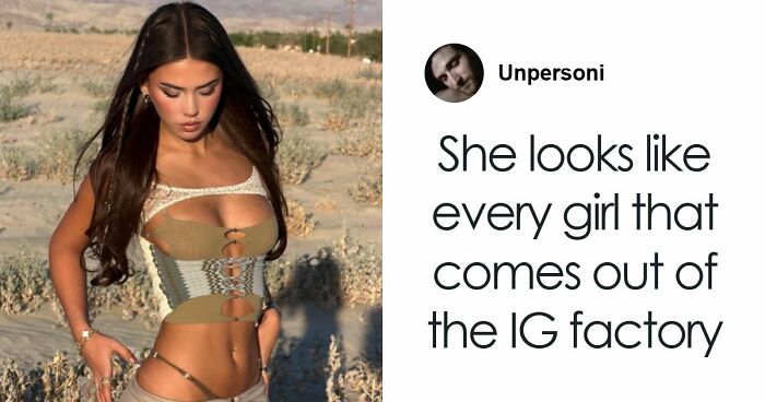 33 Of The Most Hilarious And Cute ‘Important Animal Images’ To Brighten Your Day (New Pics)