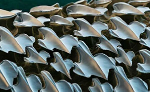 72 Remarkable Microscopic Pictures Showing Things Up-Close You Probably Have Never Seen