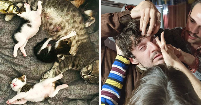 85 Accidental Renaissance Photos That Look Like They Belong In An Art Gallery (New Pics)