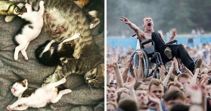85 Accidental Renaissance Photos That Look Like They Belong In An Art Gallery (New Pics)