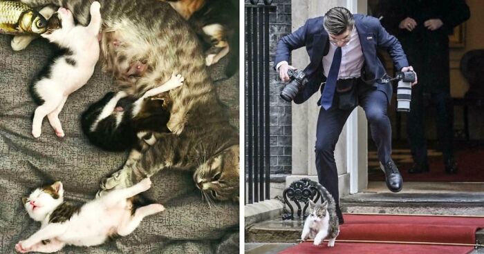 85 Accidental Renaissance Photos That Look Like They Belong In An Art Gallery (New Pics)