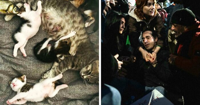 85 Accidental Renaissance Photos That Look Like They Belong In An Art Gallery (New Pics)