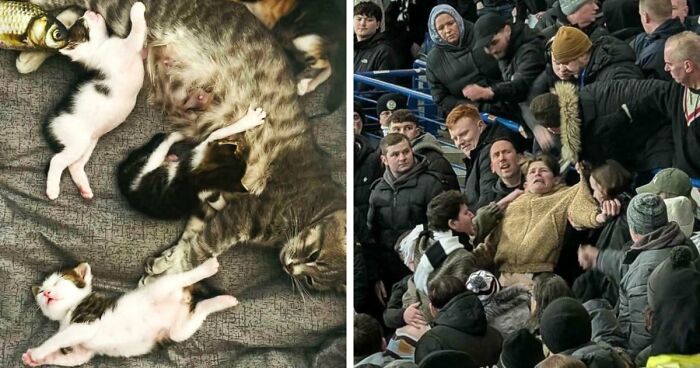 85 Accidental Renaissance Photos That Look Like They Belong In An Art Gallery (New Pics)