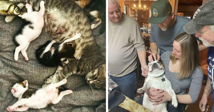 85 Accidental Renaissance Photos That Look Like They Belong In An Art Gallery (New Pics)