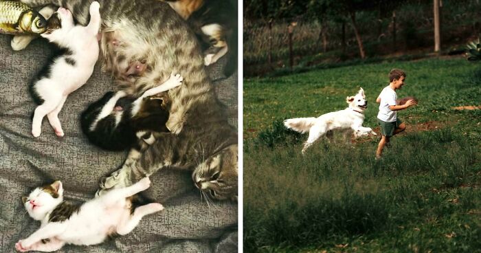 85 Accidental Renaissance Photos That Look Like They Belong In An Art Gallery (New Pics)