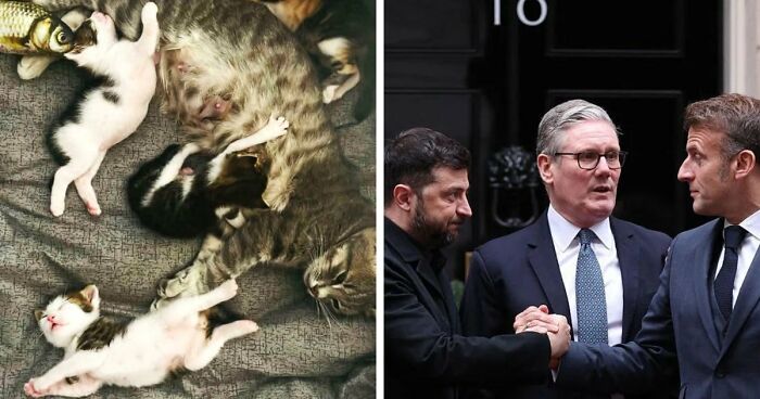 85 Accidental Renaissance Photos That Look Like They Belong In An Art Gallery (New Pics)