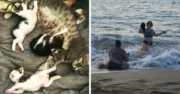 85 Accidental Renaissance Photos That Look Like They Belong In An Art Gallery (New Pics)