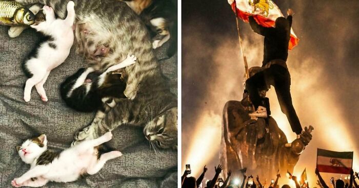 85 Accidental Renaissance Photos That Look Like They Belong In An Art Gallery (New Pics)