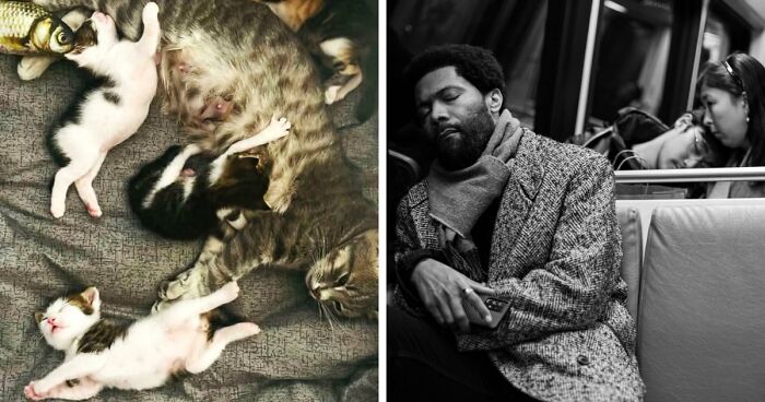 85 Accidental Renaissance Photos That Look Like They Belong In An Art Gallery (New Pics)