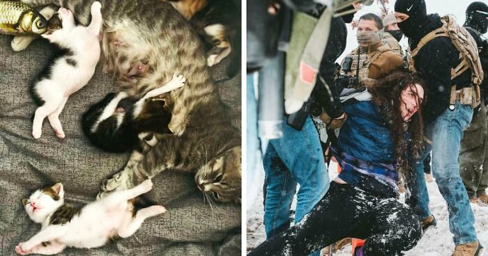 85 Accidental Renaissance Photos That Look Like They Belong In An Art Gallery (New Pics)