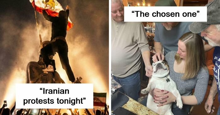 85 Accidental Renaissance Photos That Look Like They Belong In An Art Gallery (New Pics)