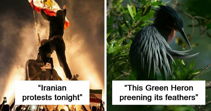 85 Accidental Renaissance Photos That Look Like They Belong In An Art Gallery (New Pics)