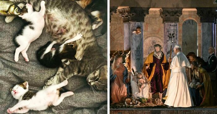 85 Accidental Renaissance Photos That Look Like They Belong In An Art Gallery (New Pics)