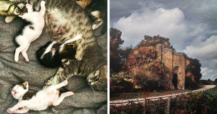 85 Accidental Renaissance Photos That Look Like They Belong In An Art Gallery (New Pics)