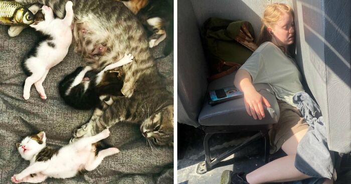 85 Accidental Renaissance Photos That Look Like They Belong In An Art Gallery (New Pics)