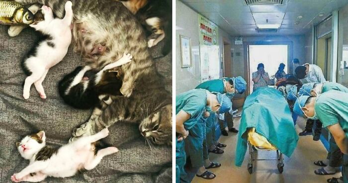 85 Accidental Renaissance Photos That Look Like They Belong In An Art Gallery (New Pics)