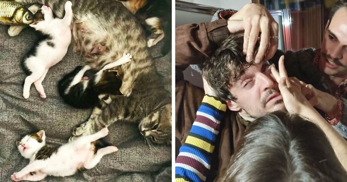 85 Accidental Renaissance Photos That Look Like They Belong In An Art Gallery (New Pics)