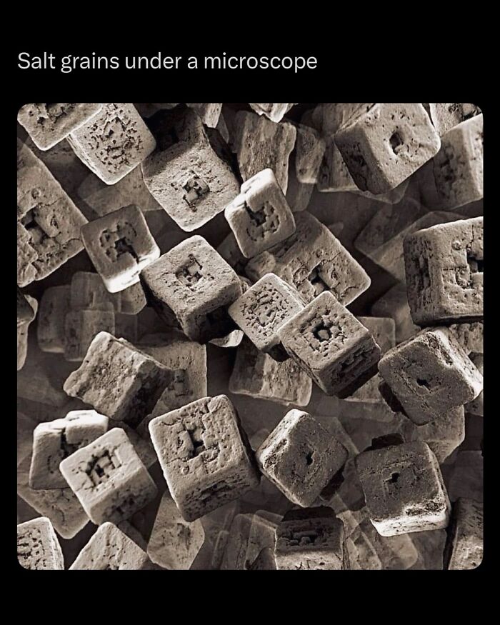 Salt grains magnified under a microscope, showing detailed textures in a fascinating glimpse of how everything is made.