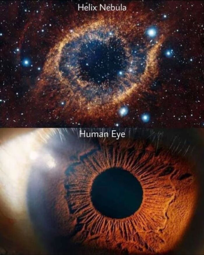 Comparison of Helix Nebula and human eye close-up, showcasing fascinating natural patterns in how everything is made.